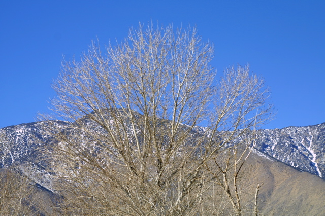 IMG_5760.JPG