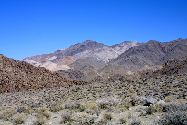 IMG_5790.JPG
