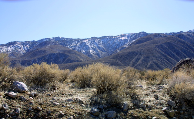 IMG_5791.JPG