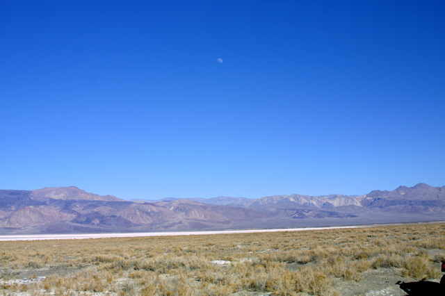 IMG_5802.JPG