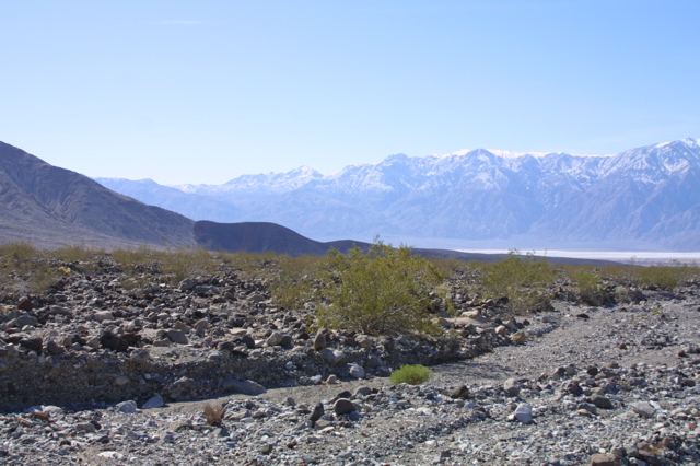 IMG_5838.JPG