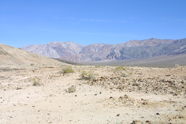 IMG_5849.JPG