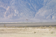 IMG_5890.JPG
