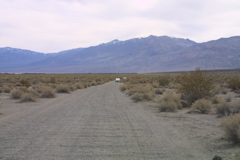 IMG_5897.JPG