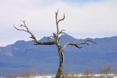 IMG_5905.JPG