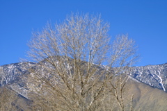 IMG_5760.JPG
