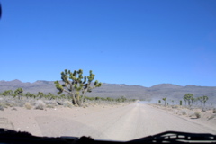 IMG_5768.JPG