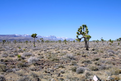 IMG_5770.JPG