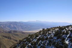IMG_5773.JPG
