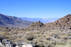 IMG_5789.JPG