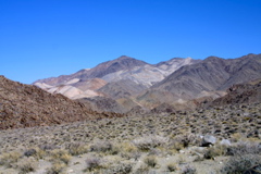 IMG_5790.JPG