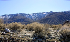 IMG_5791.JPG