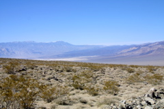 IMG_5796.JPG