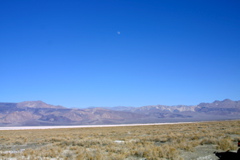 IMG_5802.JPG