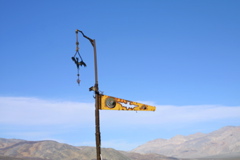 IMG_5809.JPG