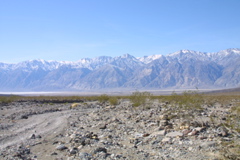 IMG_5831.JPG