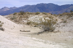 IMG_5883.JPG