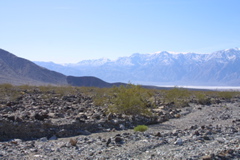 IMG_5838.JPG