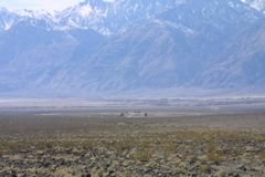 IMG_5844.JPG