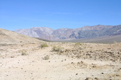 IMG_5849.JPG