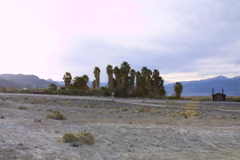 IMG_5853.JPG