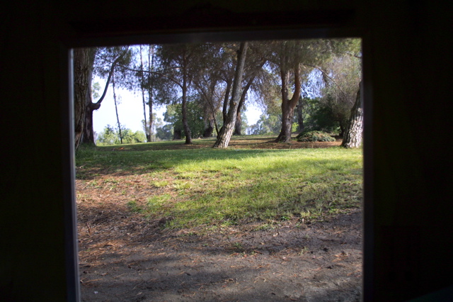 IMG_5519.JPG