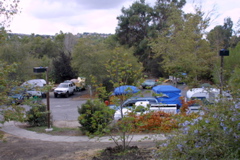 IMG_5402.JPG
