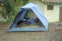 IMG_5369.JPG