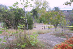 IMG_5444.JPG