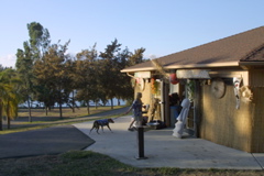 IMG_5457.JPG