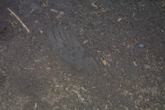 IMG_5479.JPG