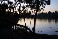 IMG_5480.JPG