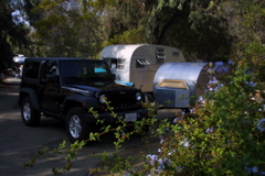 IMG_5523.JPG