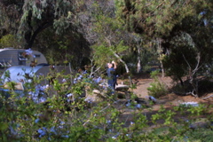 IMG_5525.JPG