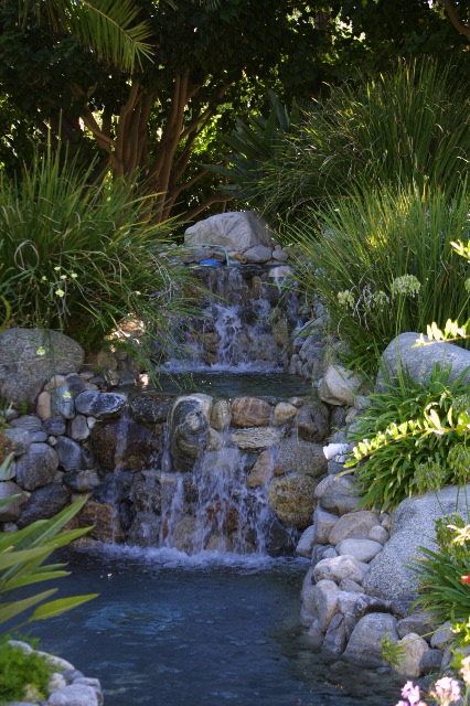 Water Fall
