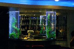 One Of The Bars