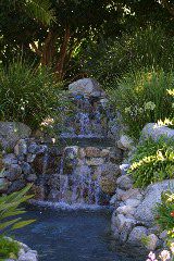 Water Fall