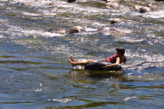 IMG_3925.JPG