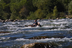 IMG_3982.JPG