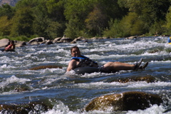 IMG_3985.JPG