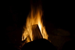 IMG_4016.JPG