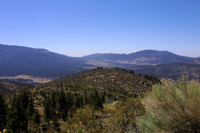 IMG_1325.JPG