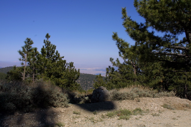IMG_1329.JPG
