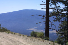 IMG_1335.JPG