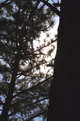 IMG_1344.JPG