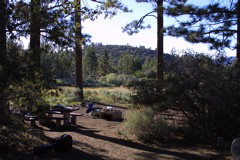 IMG_1347.JPG