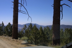 IMG_1333.JPG