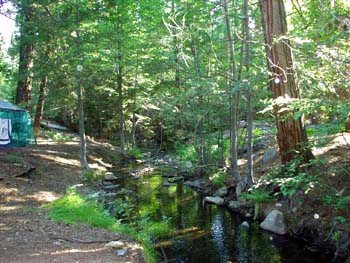Stream