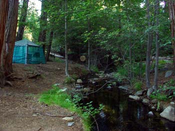 Stream2