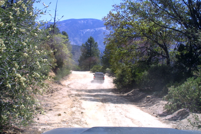 IMG_1265.JPG
